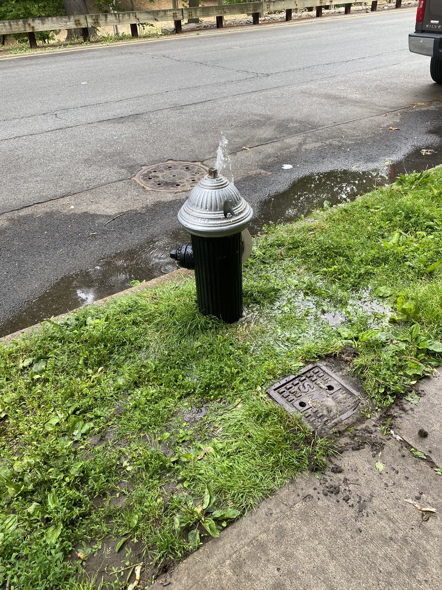 Lauren Goldenberg tweet media