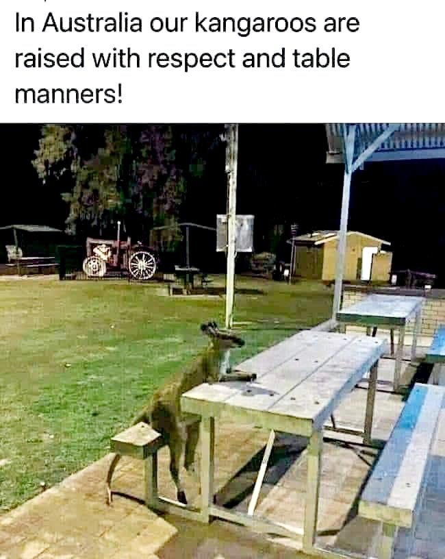 simply_learning's tweet image. 