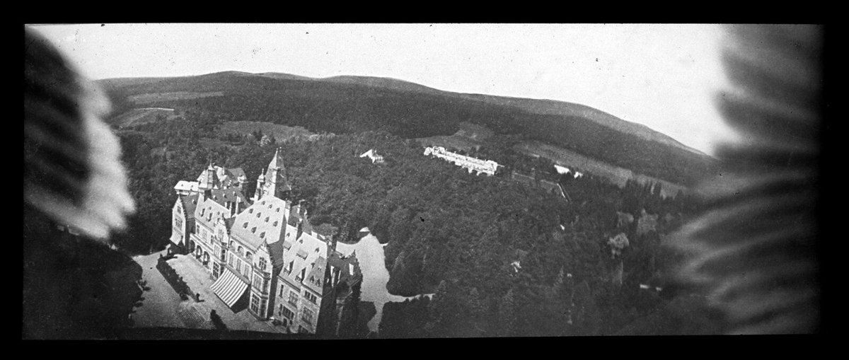 The Public Domain Review on Twitter: "For #NationalPigeonDay