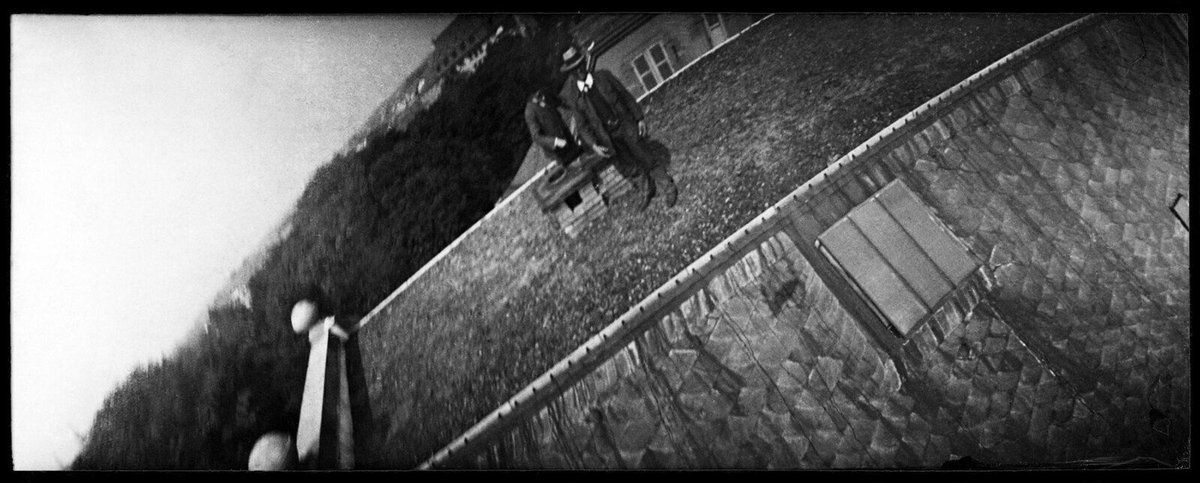 The Public Domain Review on Twitter: "For #NationalPigeonDay