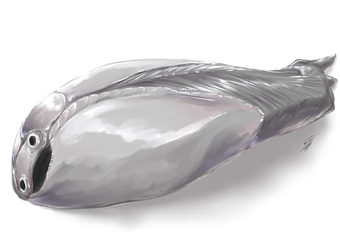 サカバンバスピス描きました。 #みつあ勉強用