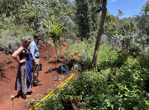 NLAgriKenya's tweet photo. Mlango Farm in Kenya successfully grows disease-resistant #potatoes using #Solynta 's hybrid-bred seeds, improving yield and business opportunities for organic farmers. 

👉  https://t.co/vH5tYbe1du

🥔🥔🥔 https://t.co/tbqs8qfWnD