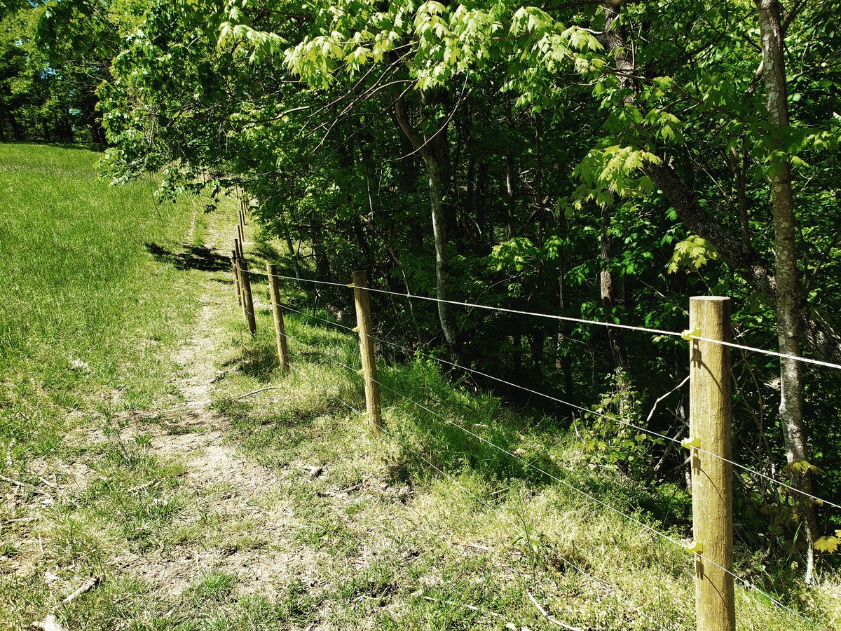 🚜Farm and ranch fences come in a variety of customizable options. These fences are durable and built to last!
ashevillefence.com/farm-and-ranch…
#farmfence #ranchfence #animalfencing #woodfencing #freeestimates #avlfence