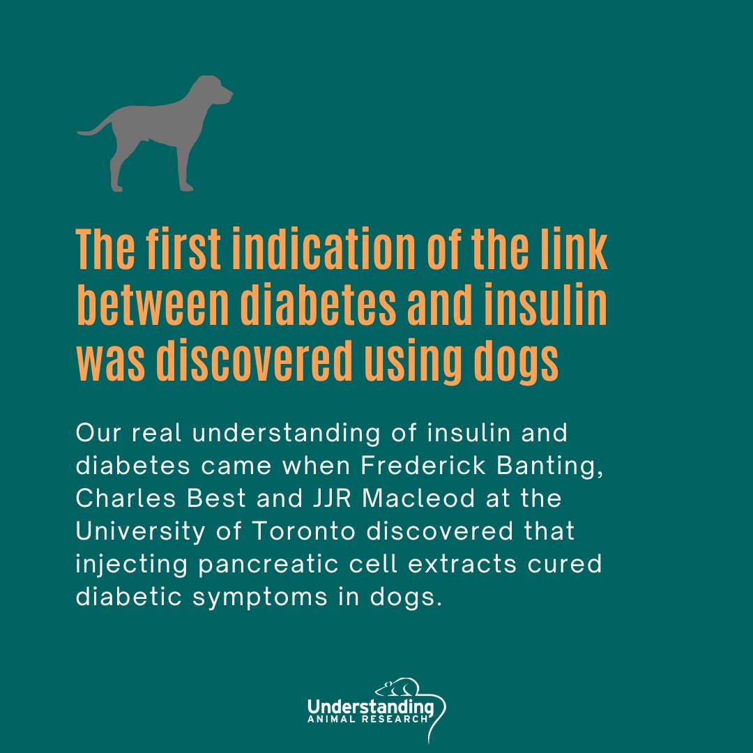 Understanding Animal Research tweet media
