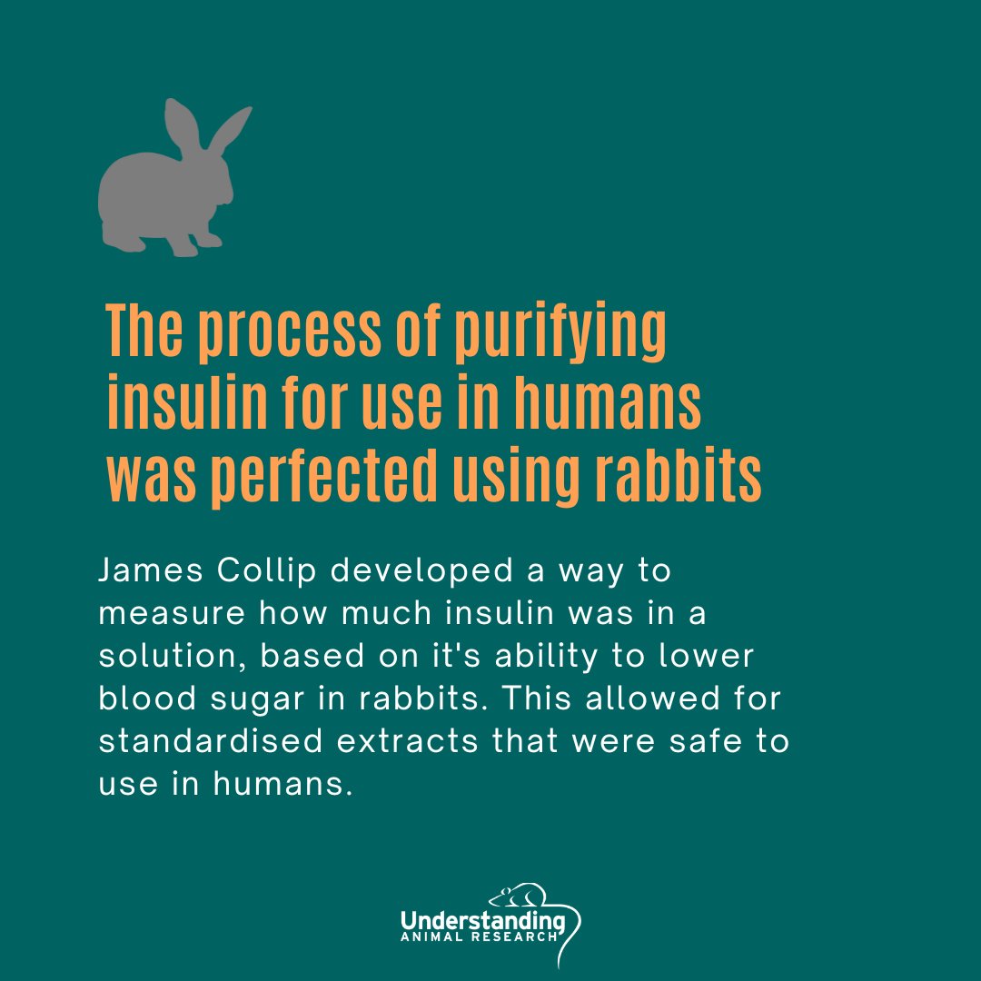 Understanding Animal Research tweet media