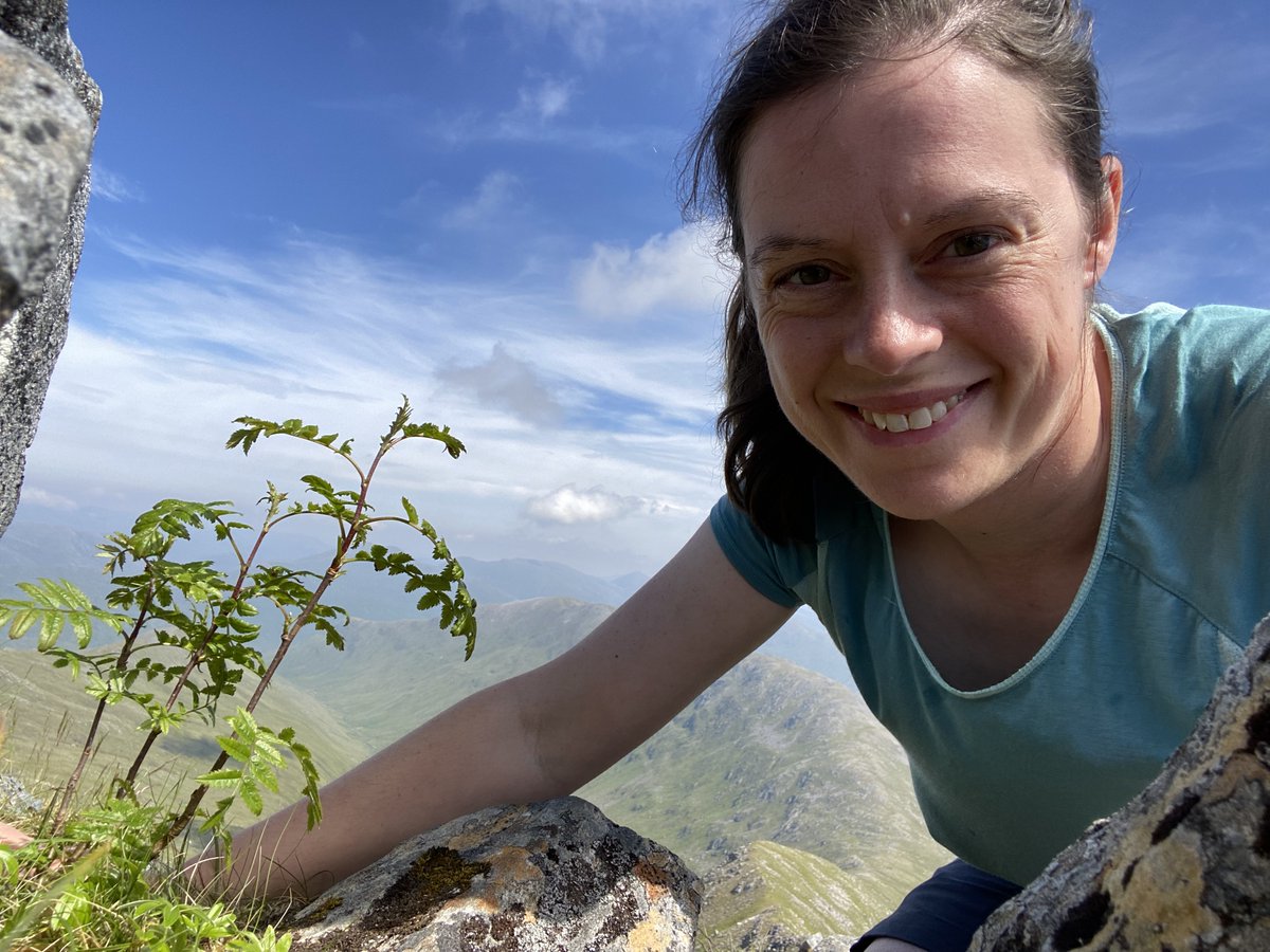 Watts_SH's tweet photo. How high can trees grow up mountains? And how did we break the altitudinal records for 11 tree species in Britain during 21/2022? Find out in my new paper published #OpenAccess in #BritishandIrishBotany @BSBIbotany using #citizenscience. https://t.co/vMjJLbUivk

#HighMoutainTrees https://t.co/mEqmjV5wd8