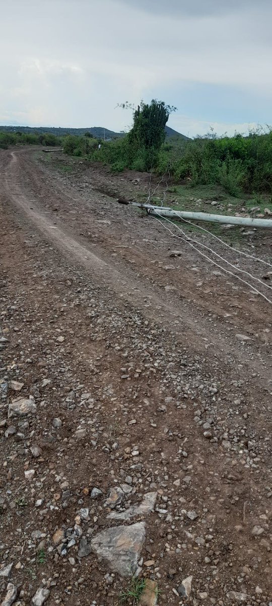 OkeyoJimton's tweet photo. @RERECMashinani This is the situation @ Homabay County, Nyamaji sublocation, Near Otieno Kajwang  secondary school for the last 6 years. Fallen poles &amp; transmission lines, transformer that has never been activated, no single connection to any home.. https://t.co/3bseVUB8ta