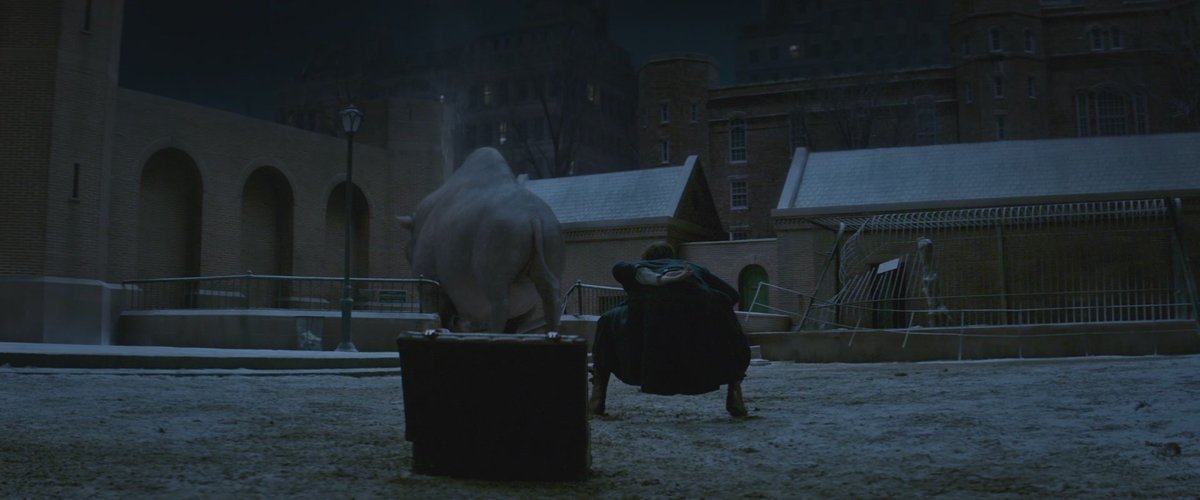 The Erumpent mating scene dance in Fantastic Beasts was choreographed by a man who does the dances for the Royal Ballet.