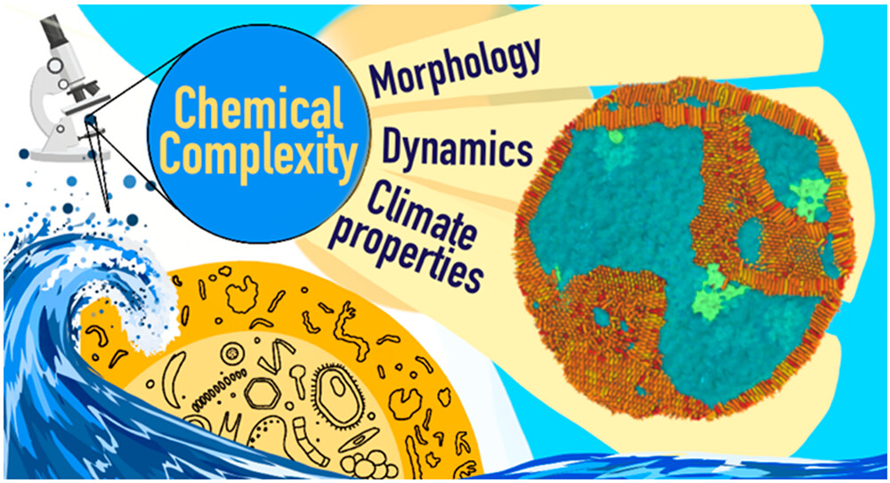 ACSCentSci's tweet photo. Increased chemical complexity in submicrometer sea spray aerosol leads to more heterogeneous morphology and lower surfactant coverage, which may explain the high hygroscopicity of nascent organic-rich SSA.

NEW #ASAP by @RommieAmaro &amp; team
Read it here: https://t.co/NG1ZbsMeGa https://t.co/Ai64O8PfHi