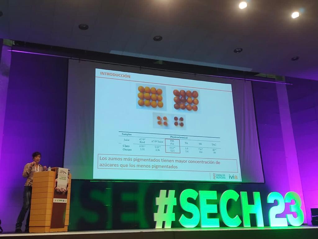 sensorial_ivia's tweet photo. La semana pasada el grupo de sensorial del IVIA presentó en el congreso organizado por la SECH, resultados sobre los compuestos volátiles de las naranjas sanguinas frente a las no sanguinas. Tú que opinas, ¿tienen las sanguinas un sabor particular? cuéntanos tu opinión @GVAivia https://t.co/I7sfJU83an