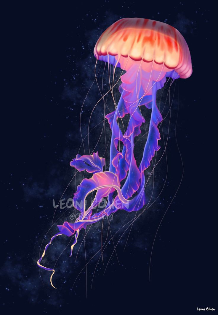 SadalSuud33's tweet photo. Il pericolo è in chi non lo conosce
Il pericolo è di chi non lo sà affrontare
Che poi le #Meduse sono i #Guardiani
del #Mare https://t.co/OTvxHwp4c6