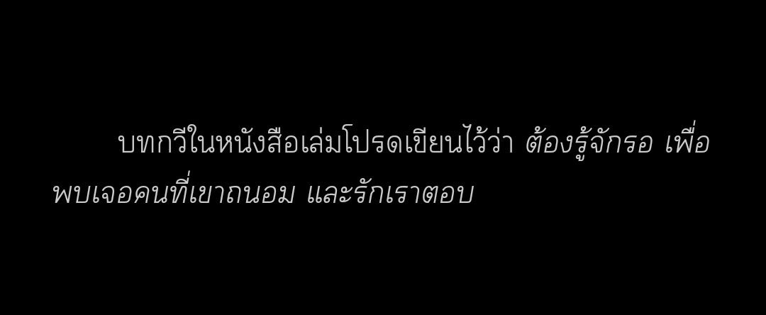 วัยนี้รักแมวมาก tweet media