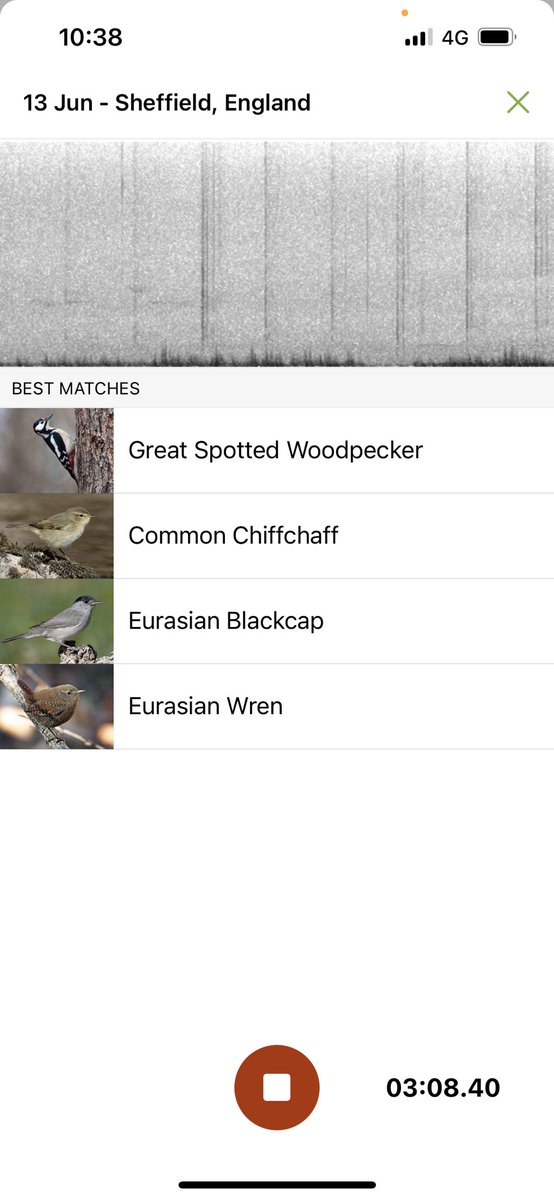 Tweets of the day at loxley and wadsley common! Loving the <a href="/MerlinBirdID/">Merlin Bird ID</a> app 🎶 woodpecker and black cap <a href="/FriendsLoxley/">Friends of the Loxley Valley 🍃💚🍃</a> 💚 #sheffieldissuper