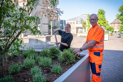 Neue Pflanzkübel am Georgsplatz sorgen für frisches Grün in der Innenstadt. presse-service.de/data.aspx/stat…
