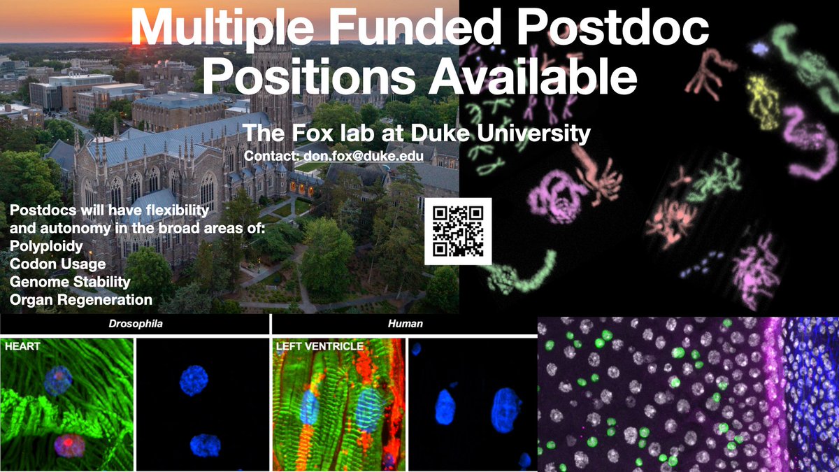We are looking for new postdocs to join our team! Please RT