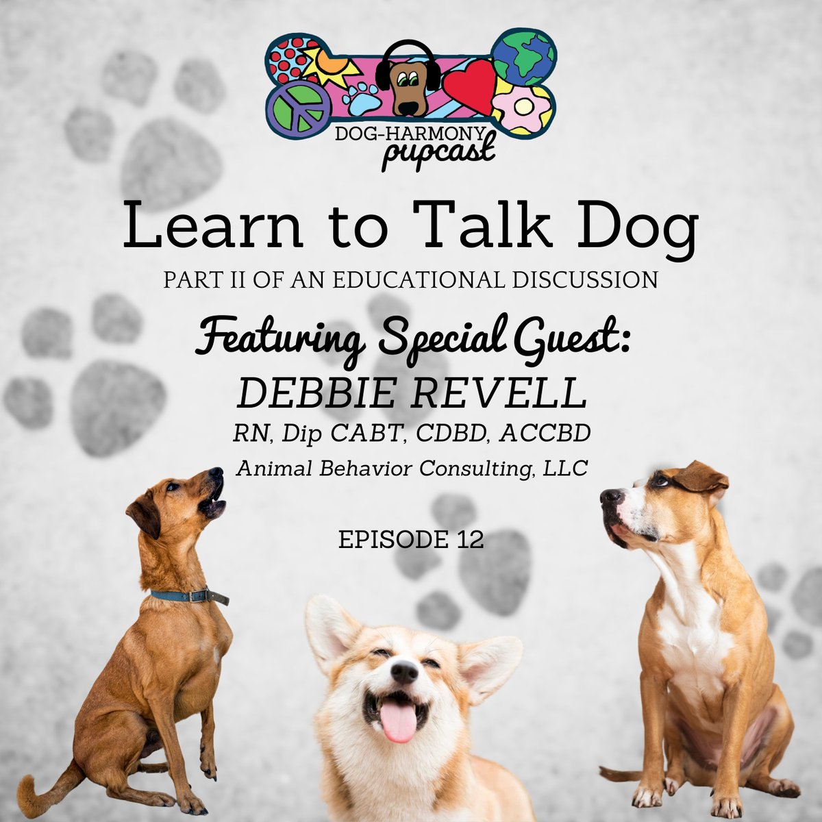 dogharmonyinc's tweet image. In Part II of the "Learn to Talk Dog" PUPcast series, Nancy Bown, CPDT-KA and Johnny C. of Ace50 Media discuss common misconceptions of #caninebavior with Debbie Revell, RN, Dip CABT, CDBD, ACCBD. 
🎙️ spotifyanchor-web.app.link/e/b35GIDtteAb

#humaneeducation #positivedogtraining #dogbehavior