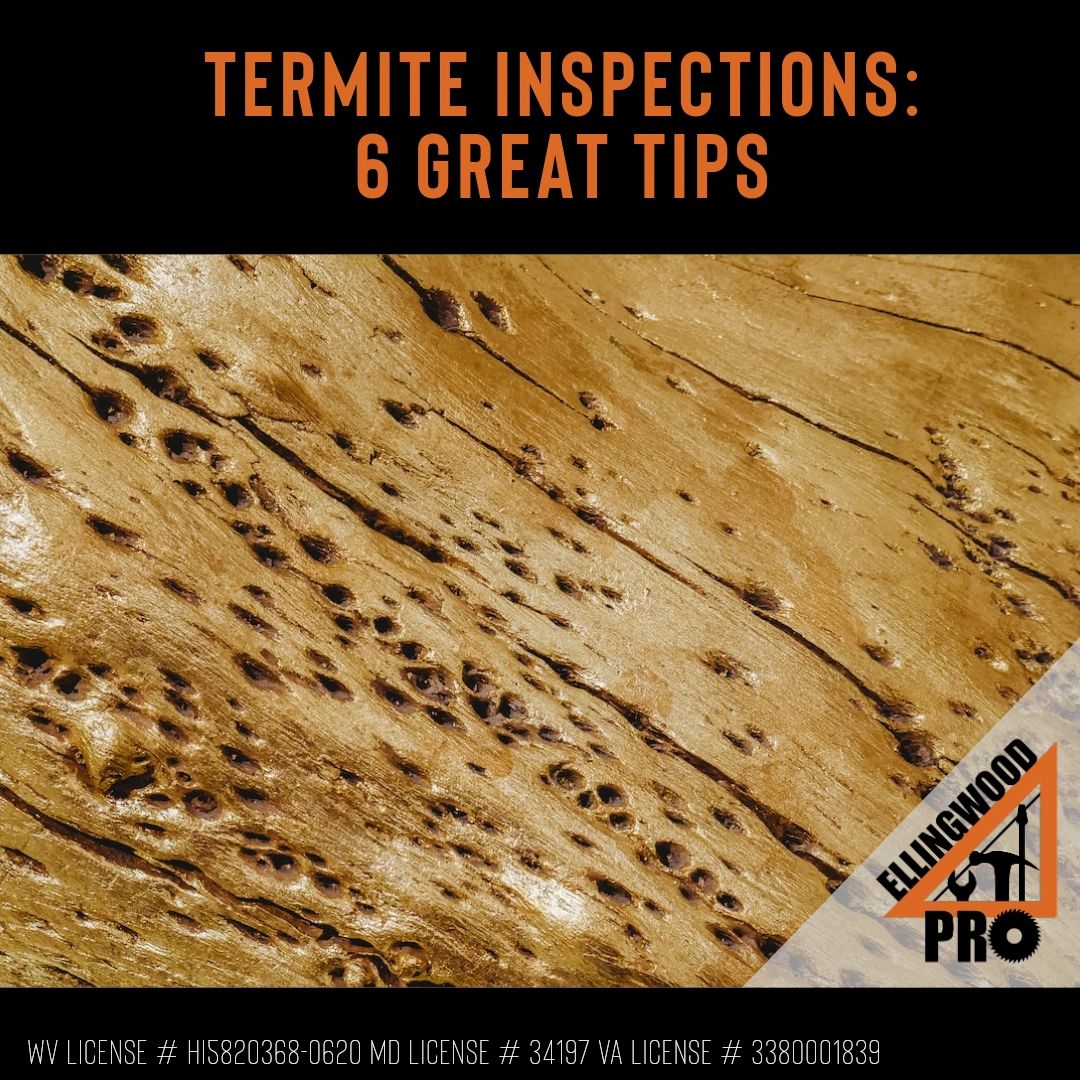 EllingwoodPro's tweet image. A new #ProBlog is posted! Discover the importance of WDO/Termite Inspections and protecting your property. Learn key tips and insights today! 

Read it here: ellingwoodpro.com/pro-blog/f/6-t…

#inspectb4ubuy #ellingwoodpro #homeinspections #TermiteInspections