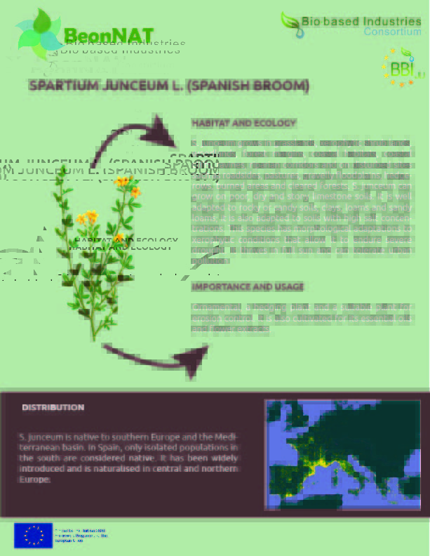 We are nearing the end of the species tested by BeonNAT's researchers! 😭Don't miss out on this interesting information about Spanish broom and follow BeonNAT to stay updated on the project's progress!🎋 #BeonNATproject #species #marginallands
