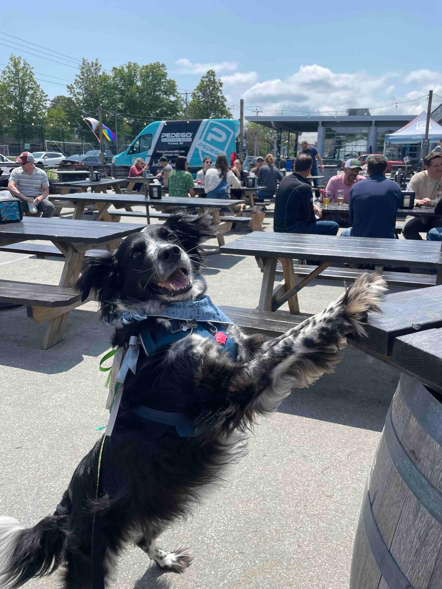 Rising Tide Brewing, along with other local breweries, will pour beer at Ales for Tails on the 17th of June, 1-4. Proceeds from ticket sales go to support the life-saving work that the <a href="/ARLGPme/">Animal Refuge League</a> does, helping place shelter pets in their forever homes. 

eventbrite.com/e/ales-for-tai…