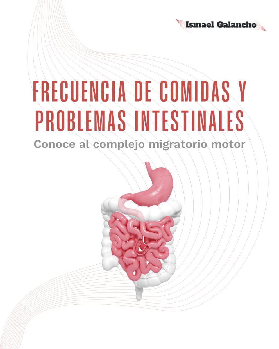 La frecuencia de comidas diarias, es decir, cuantas veces comemos al día o cada cuanto tiempo debemos comer, está en boca de todos a la hora de determinar cuál es el patrón óptimo.