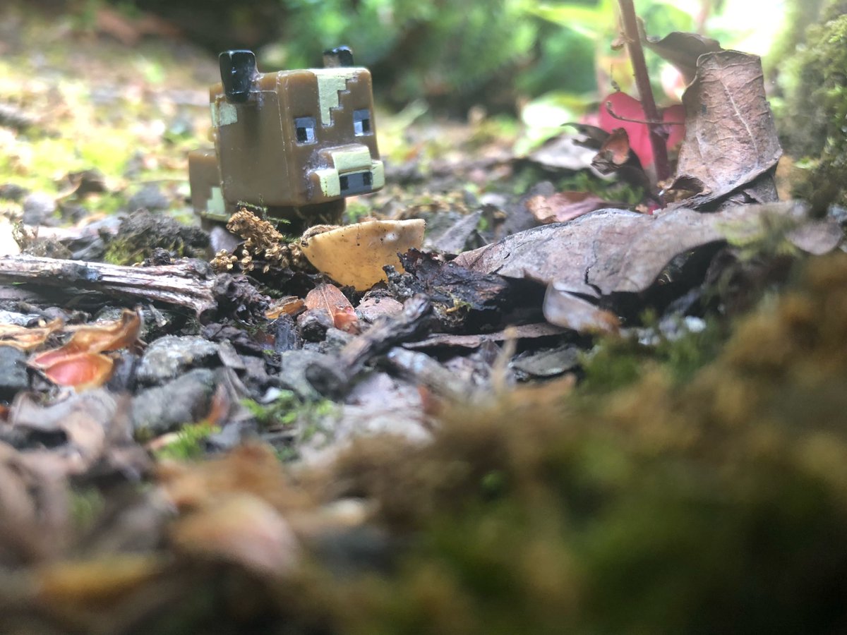 MissAvey_art's tweet photo. Some great Slinkachu inspired photographs taken by my S2 photography class today #slinkachu @S2LHSYT @Larbert_ExpArts @LarbertHigh https://t.co/x5s0wMUByy