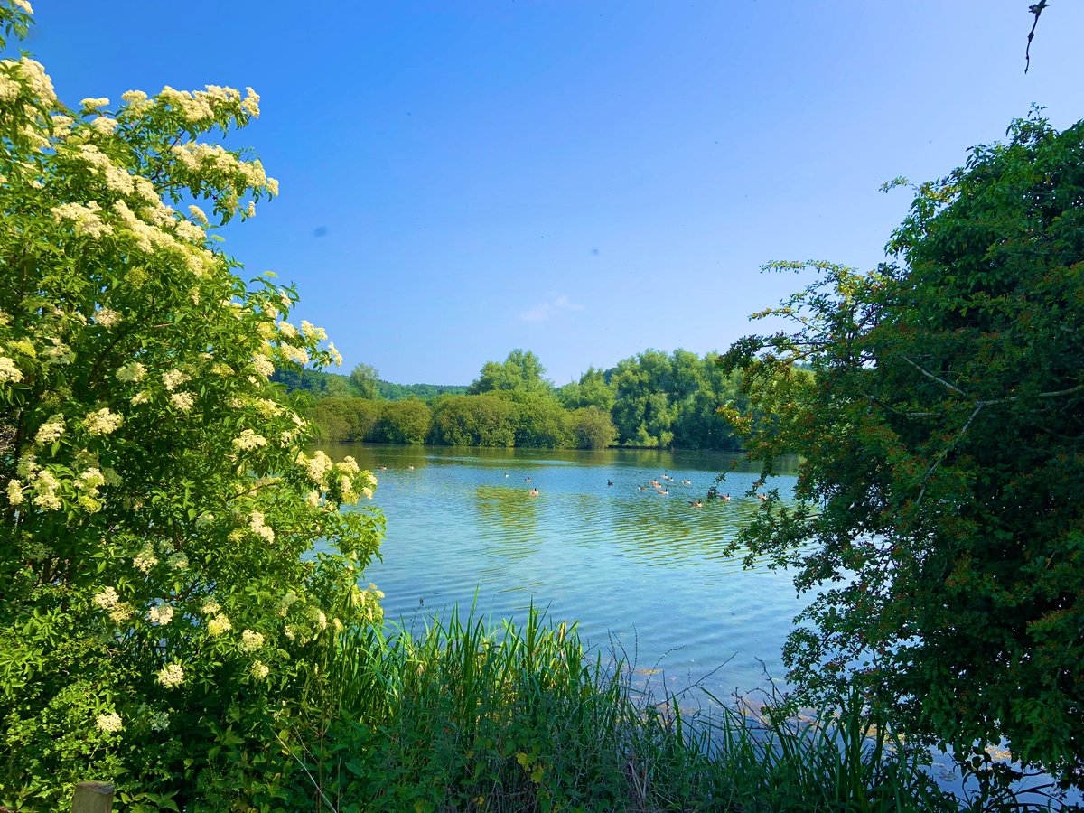 Shardeloes Lake…
#Amersham #Buckinghamshire #summer #lake #landscape
#landscapephotography 
💠💠💠