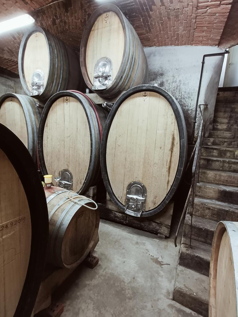 ChrisBoiling's tweet photo. Guess which of these barrels at Vino Gross in #Slovenia contains my co-fermentation of #Laskirizling and #Traminer?
Yes, the little 300L Austrian barrel.
The wine is tasting like an elegant, subtle Traminer. It will be bottled at the end of August.
#slovenianwine #winemaker https://t.co/3yQ0DeciDK