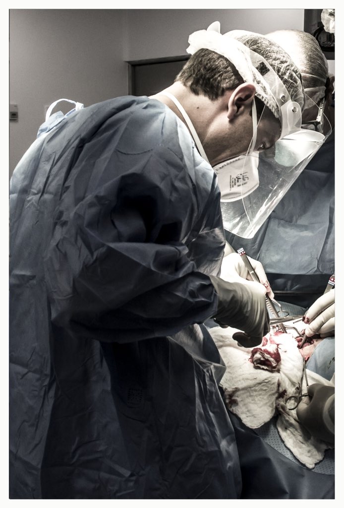 PipeCabreraV's tweet photo. Drop a cool photo of you doing your job! #SoMe4Surgery #aortaed @pferrada1 @jmills1955 @monteromiguel @SWexner @juliomayol @LiangRhea @almagoch @CirujanoGZ https://t.co/fN3I8AX941