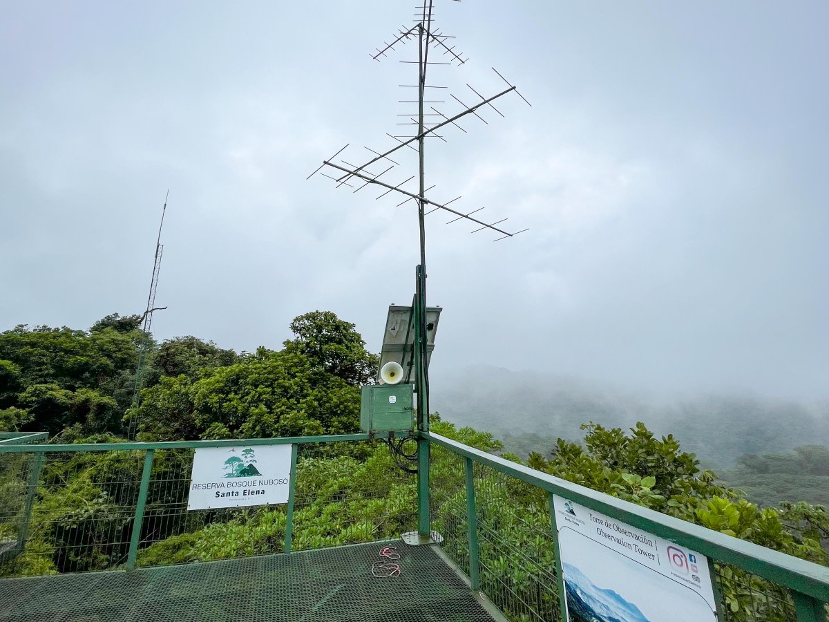 DMennill's tweet image. Atop the cloud forest of Monteverde, @Nati_SanchezU retrieved one of our flight call bucket recorders. 🐦🎤🇨🇦🇨🇷  
What migratory birds will we detect in the recordings? Will they match birds detected by the #Motus tower?
Thanks to Reserva Bosque Nuboso Santa Elena for assistance.