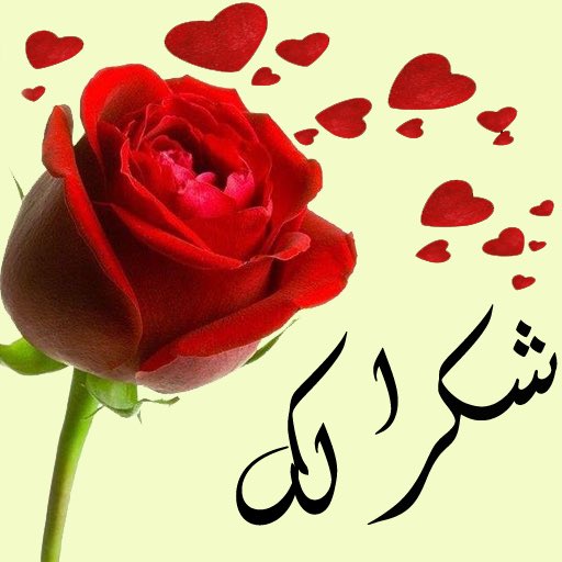 أنفآسٰ هلآليهٌ 💙🕊 tweet media