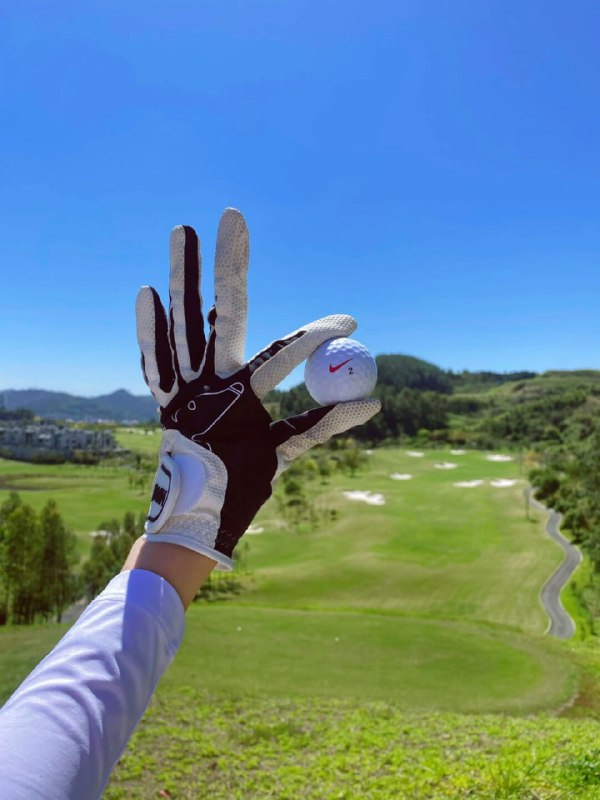 LI1878's tweet photo. #Golf #MOVEMENT https://t.co/ru45GP5sC6