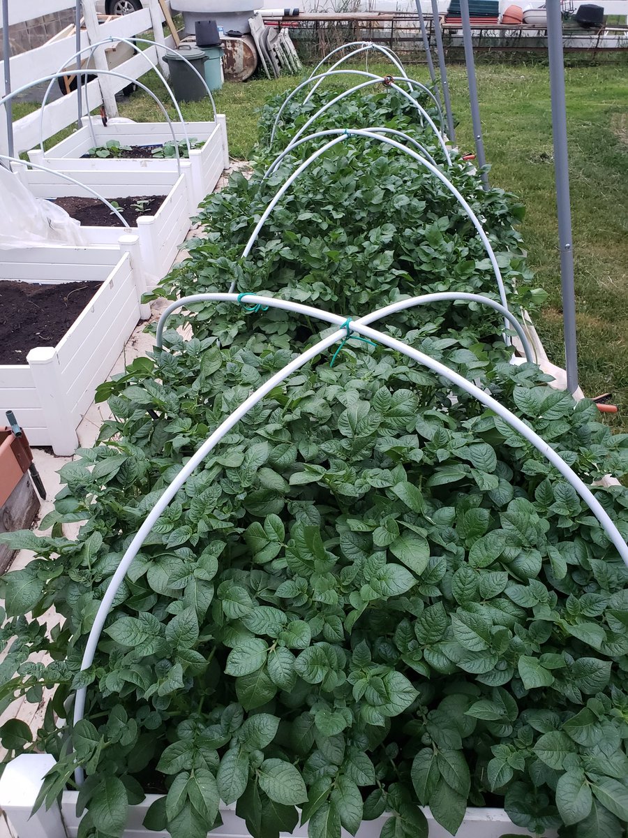 Twitridge's tweet image. Rain please (it is in our forecast)! #Spring2023 #CHCab #PeaceCountry