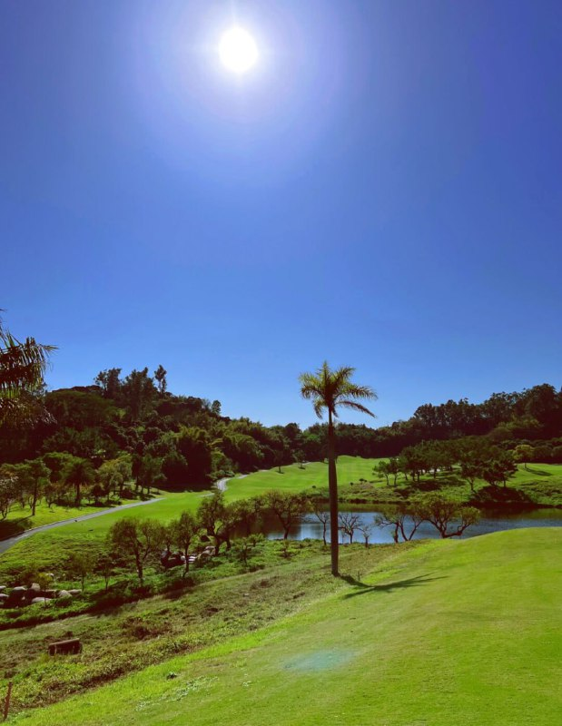 LI1878's tweet photo. #Golf #MOVEMENT https://t.co/ru45GP5sC6