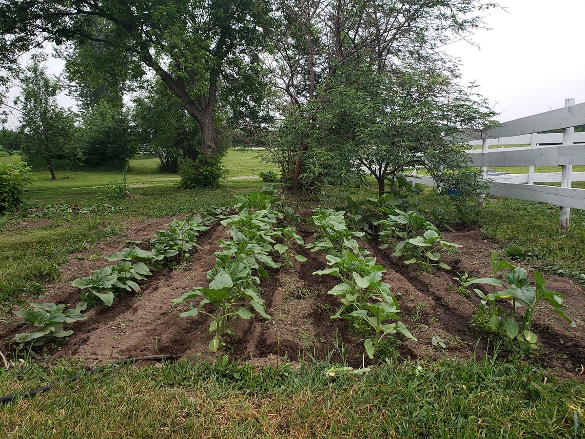 Twitridge's tweet image. Rain please (it is in our forecast)! #Spring2023 #CHCab #PeaceCountry