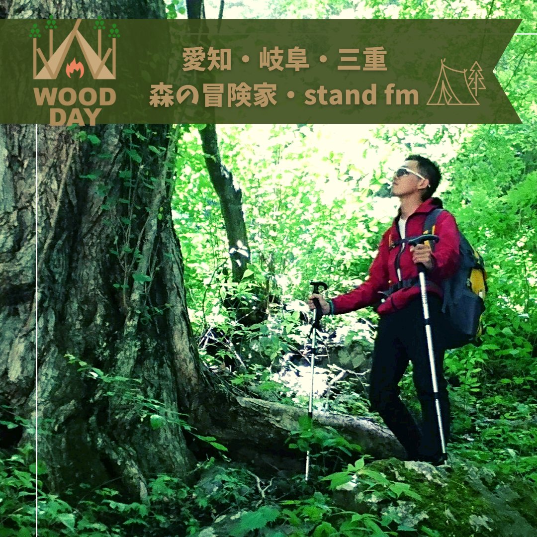 moritaro61's tweet photo. 復活！森の冒険家🌳🌳 https://t.co/oGRzCLzqtV https://t.co/6NJkQTcYt2