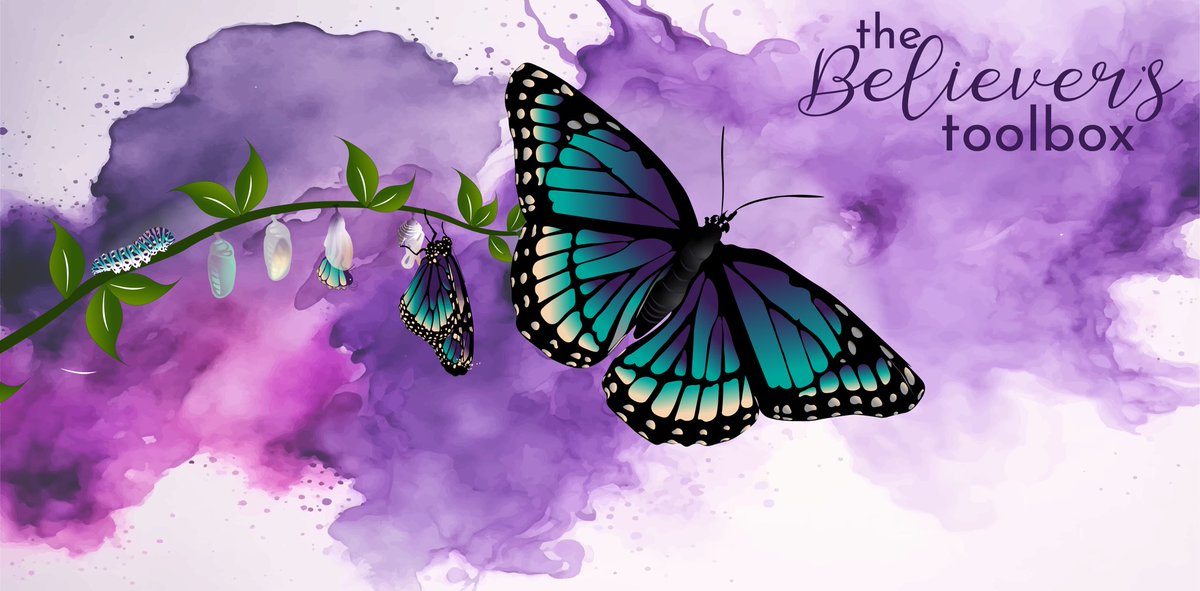 Savvy_Artist's tweet photo. New website banner created for a client, The Believer’s Toolbox #vectorart #stagesofabutterfly #newartwork #graphicdesigner #artist #digitalartist #websitebanner https://t.co/A2jK28Cvre