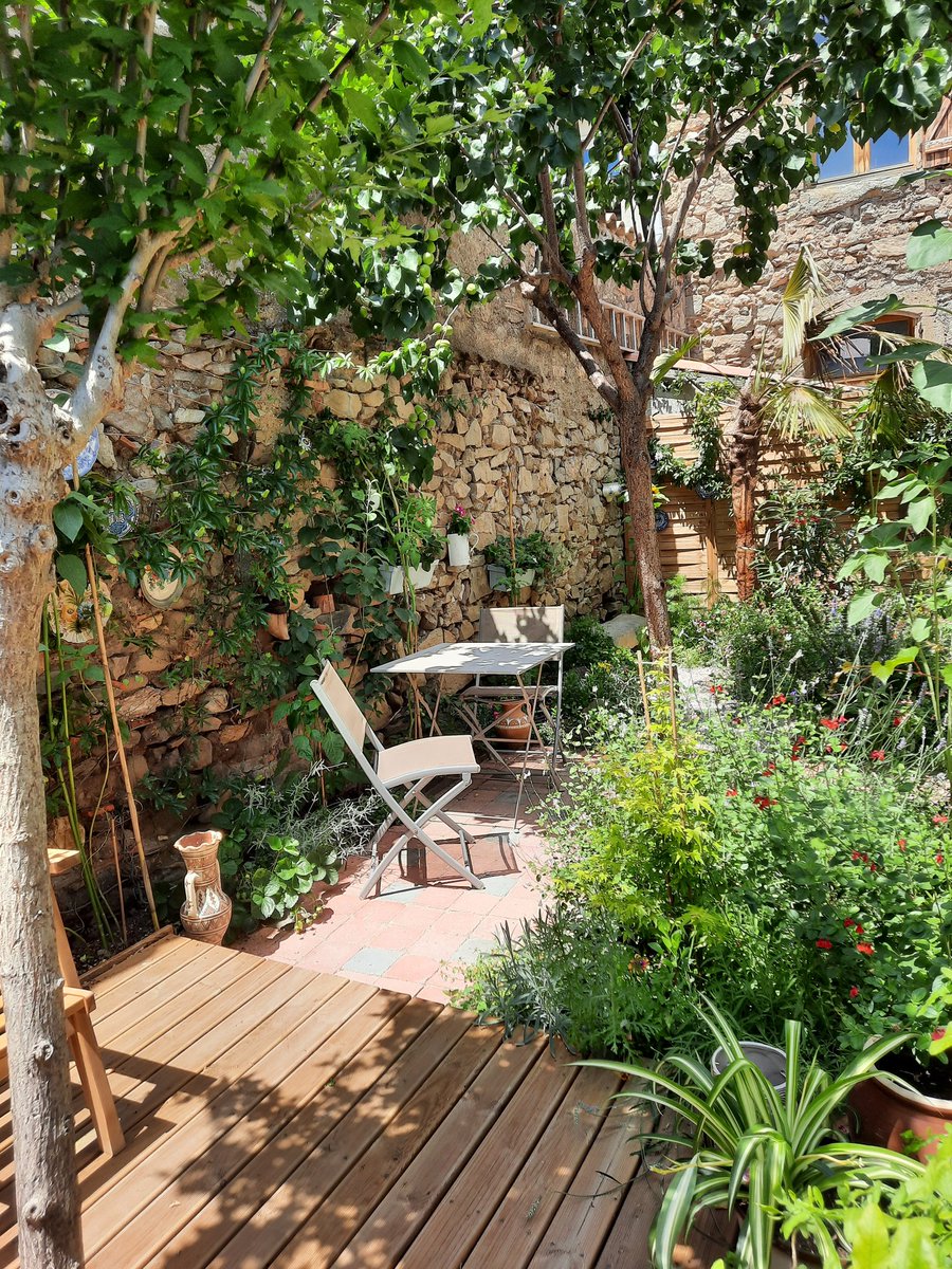 MagnoliaFrance's tweet image. The #garden is blooming le jardin fleurit #Azille #Aude #sunflower #lavender #passionfruit