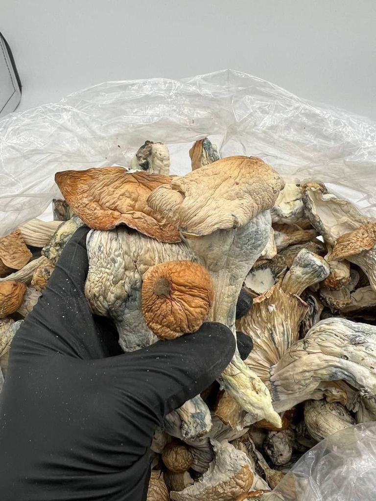 Magic mushrooms 🍄 $200 for an Ounce!