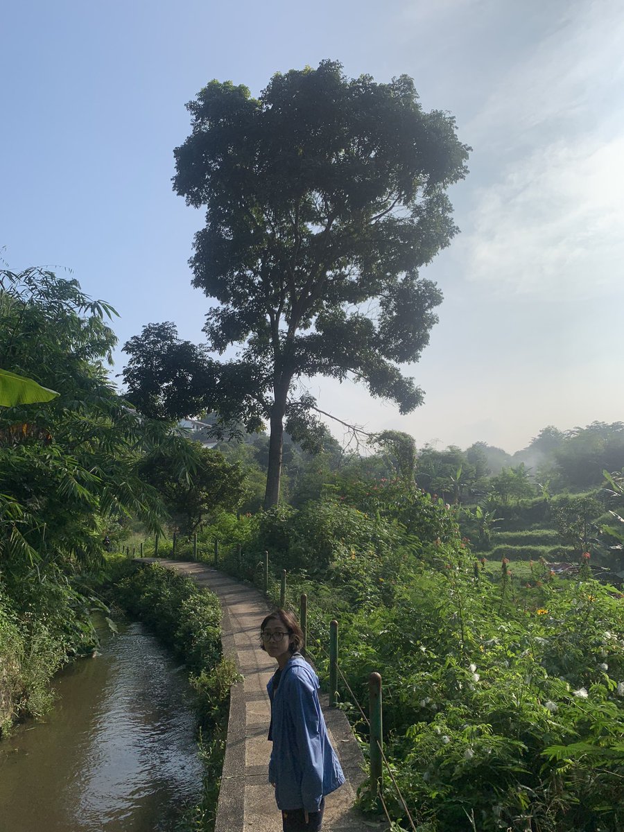 Happiest birthday to chiki the magnifico🎉🫡🙌