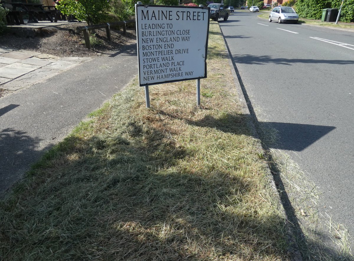 The depressing side to urban botany: The only #Thetford residential street population of the nationally scarce Sand Catchfly (Silene conica) again wiped out this year by mowers. There can’t be many UK sites for it on urban/suburban road verges elsewhere – if any? 1/2