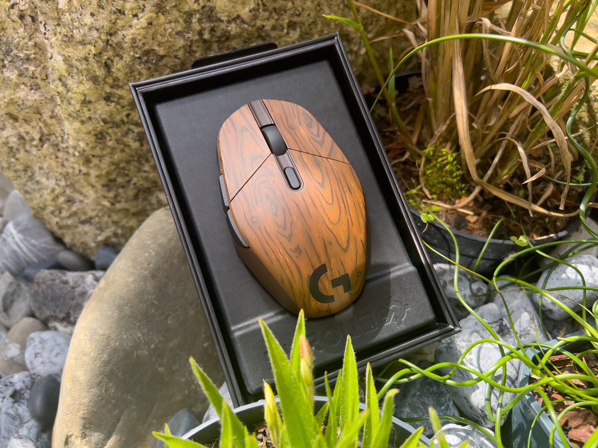 Dovacustoms tweet media