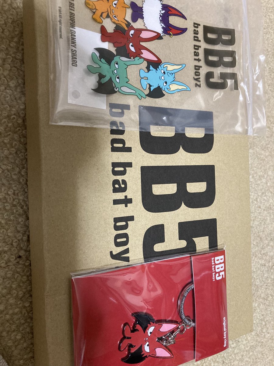 COMDarcar's tweet photo. さすがコムドット✨️
袋だけじゃなくダンボールにまで書いてあるのはびっくりした😳
ダンボール大事に開ければ良かった…
 #コムドット
 #BB5 https://t.co/aOPJu2MmX1