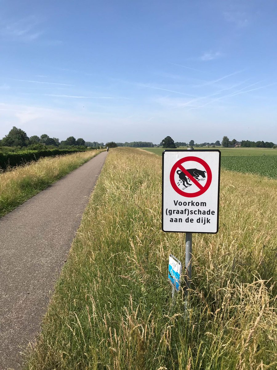 WDODelta's tweet photo. De resultaten van de voorjaarsinspectie van onze #dijken zijn bekend: Een toename van #graafschade door honden en muizen, minder graverij door #muskusratten. Benieuwd naar de resultaten? Lees dan het bericht op onze website ๐: https://t.co/3W4igrO7fL https://t.co/k1sKMUDYd8