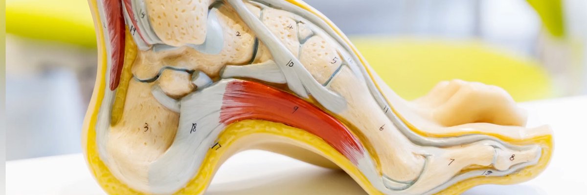 École d'Assas tweet media