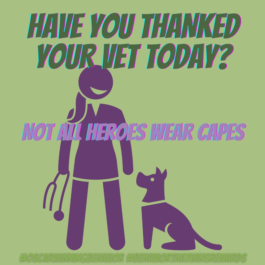 Thank you, vets - we couldn't be good pet owners without your skills, knowledge, and compassion. 
#DogBehavior #CSAT #CDBC #ADT #iaabc #iaabcPets #FearFreePets #OscarWinner #OscarWinningBehavior #BehaviorThatWinsRewards