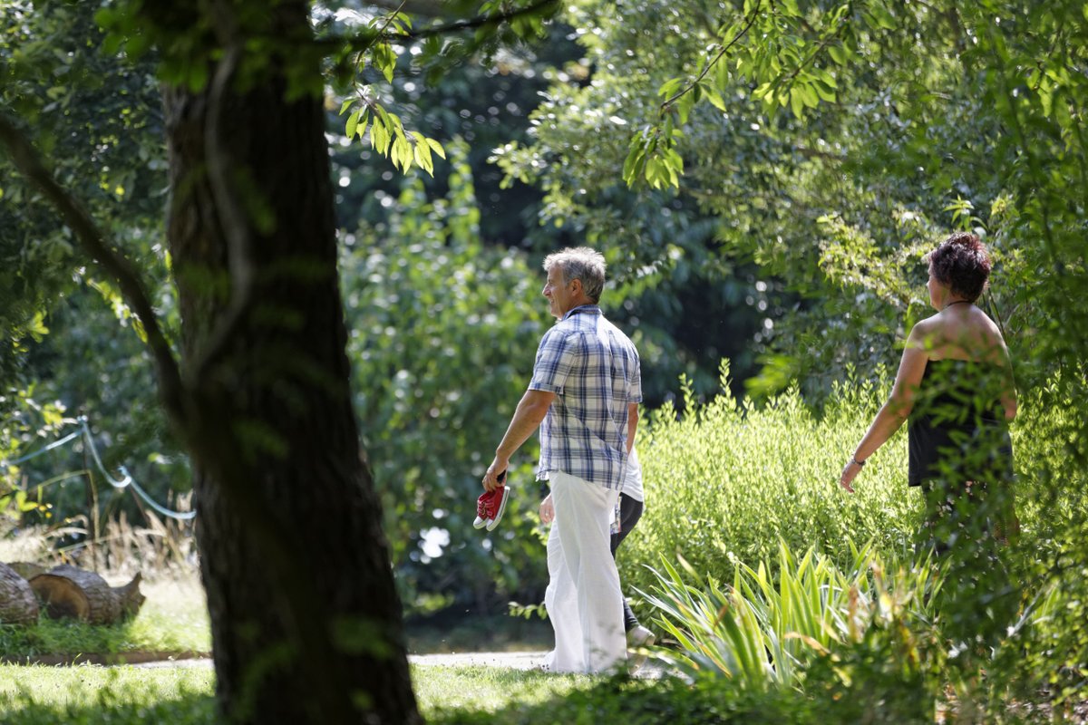 NTKingstonLacy's tweet photo. There are proven benefits to being active in #nature. Join us for forest bathing, outdoor #yoga or a guided walk at Holt Heath. Find out more via our website https://t.co/Rm4CfZwJIN 
#KingstonLacy #HoltHeath #ForestBathing #Mindfulness #MentalHealth 
📷NTI/Chris L https://t.co/XhNXE6ncsU