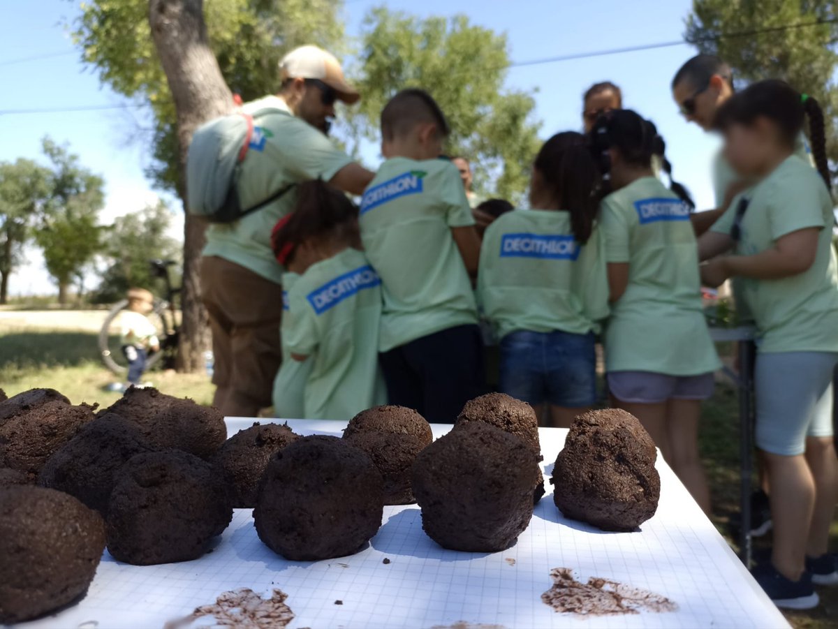 ASBioGetafe's tweet photo. 👉 Los asistentes aprendieron a realizar bombas de semillas, identificar las diferentes especies de 🦋 que tenemos en #Getafe y competir en una Yincana ambiental con los valores naturales del parque como eje.

🟩 Esperamos que os lo pasarais genial!! 😊💚 https://t.co/D5whJXlSzk