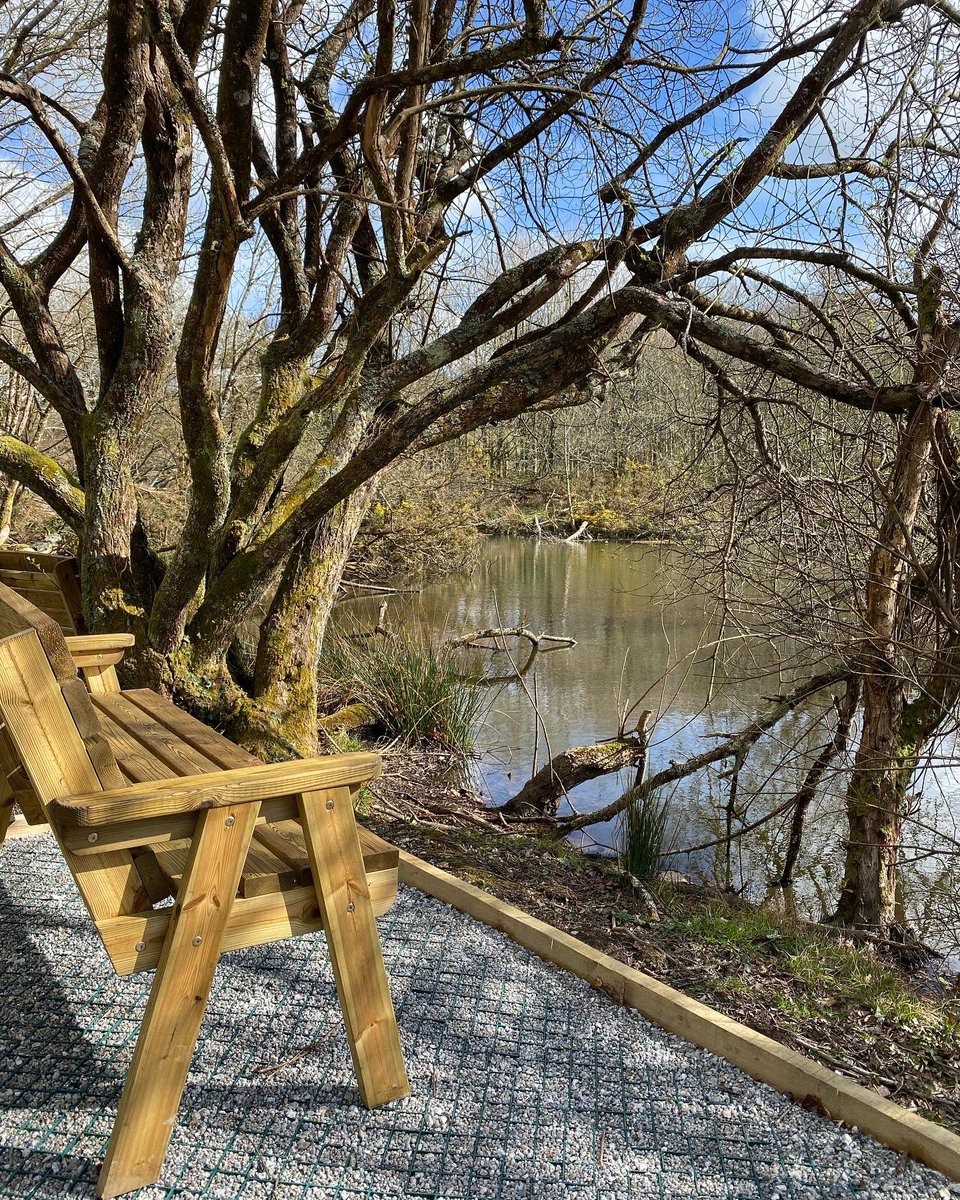 Back to Earth tweet media