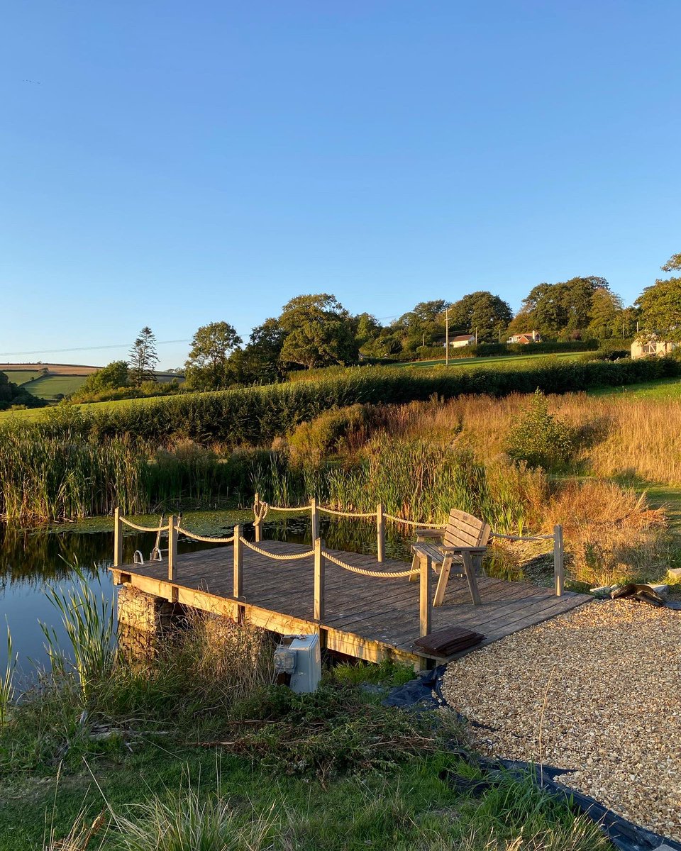 Back to Earth tweet media