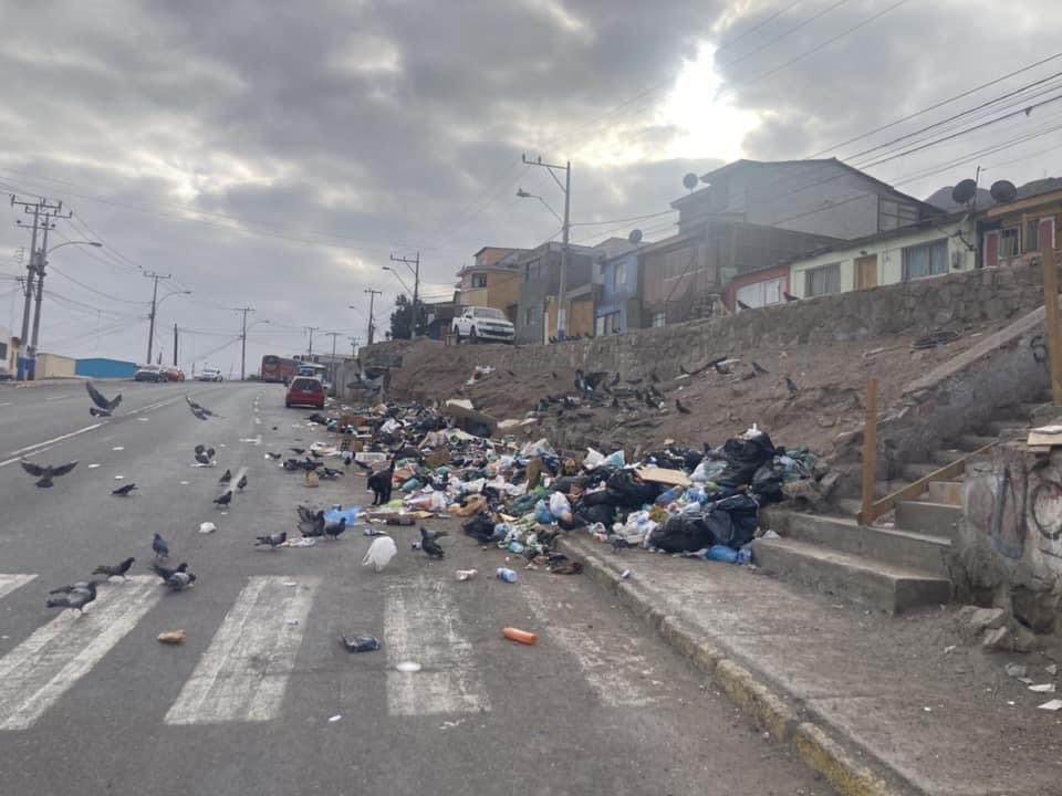 Fabian_Ossandon's tweet photo. ¿Qué hacemos con los vecinos cochinos? 

❌Esto no puede ser, la misma gente poco ayuda con la limpieza de nuestra ciudad y la municipalidad con un servicio insuficiente para la gran ciudad que es #Antofagasta 🤦🏻‍♂️ https://t.co/WfRssgPKAw
